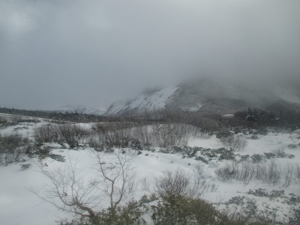 この画像には alt 属性が指定されておらず、ファイル名は IMG_4340-1024x768.jpg です